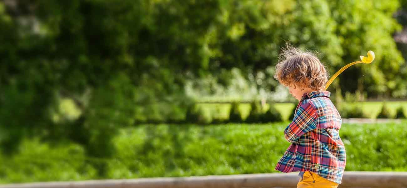 boy playing with dog